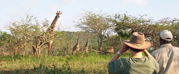 safari i sydafrika