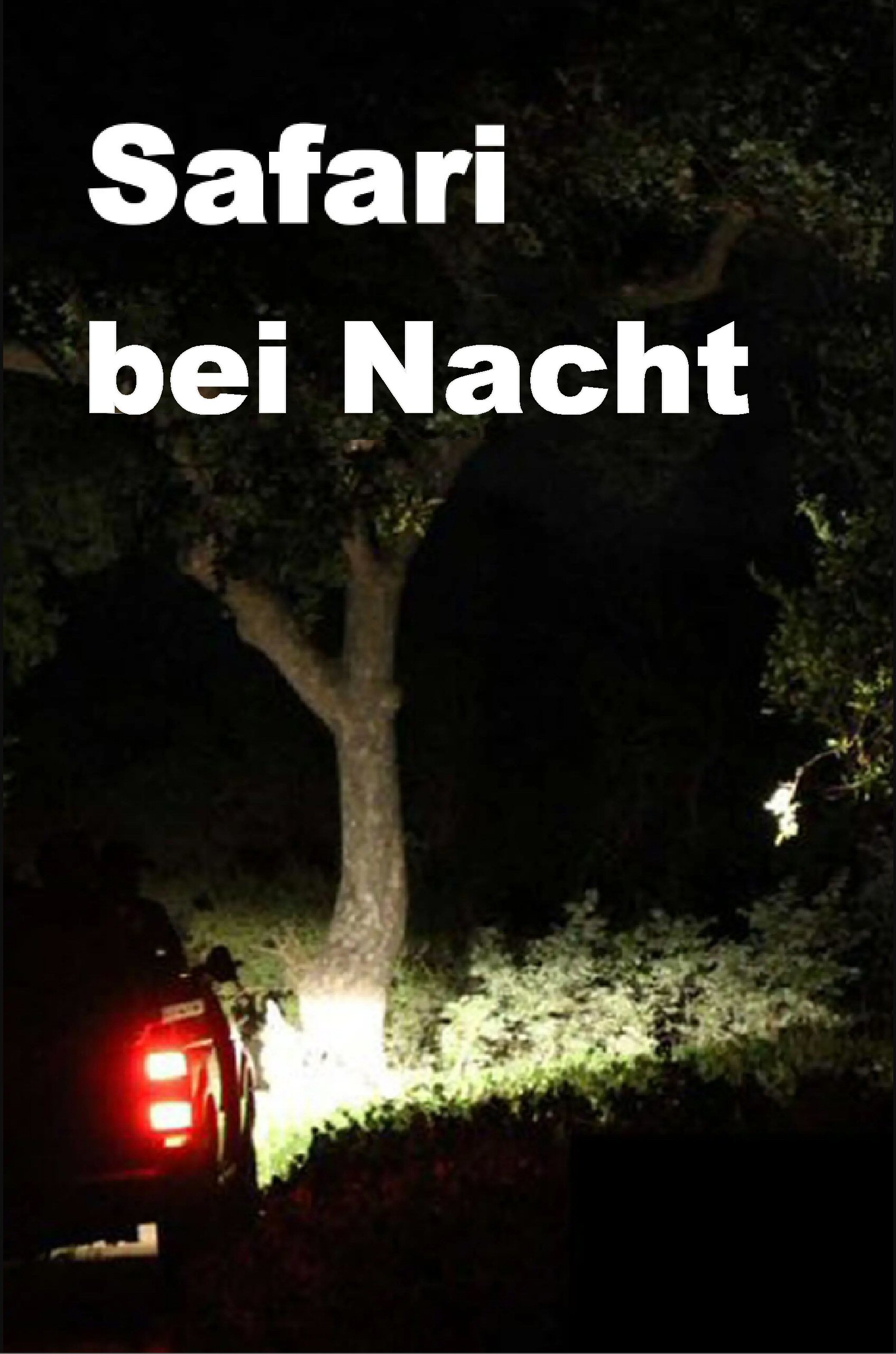 Nacht Safari